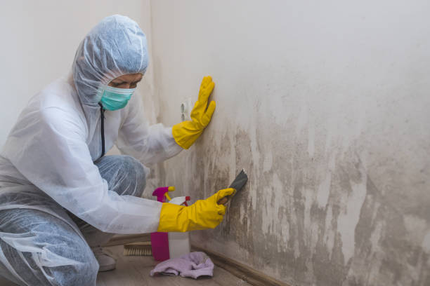 Best Residential Mold Removal  in Country Club Estates, GA