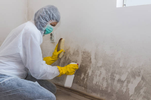 Mold Removal Process in Country Club Estates, GA
