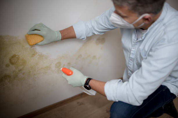 Best Crawl Space Mold Removal  in Country Club Estates, GA
